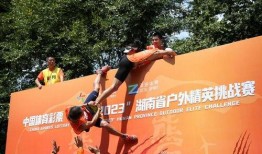 体育最新爆料2023,年度焦点事件大盘点