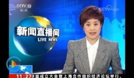 江苏苏州赵先生爆料新闻,揭秘某事件背后真相